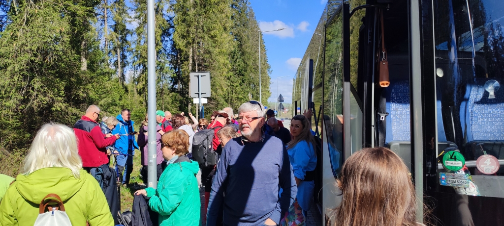 26.04.2025 - Poszukiwanie Krokusów